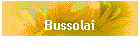 Bussolai